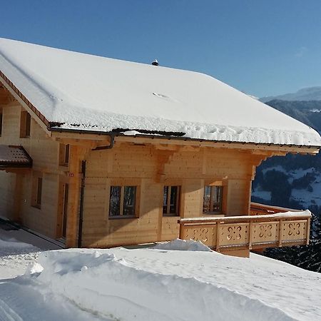Winterfell Villa Leysin Luaran gambar