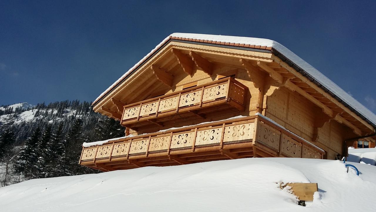 Winterfell Villa Leysin Luaran gambar