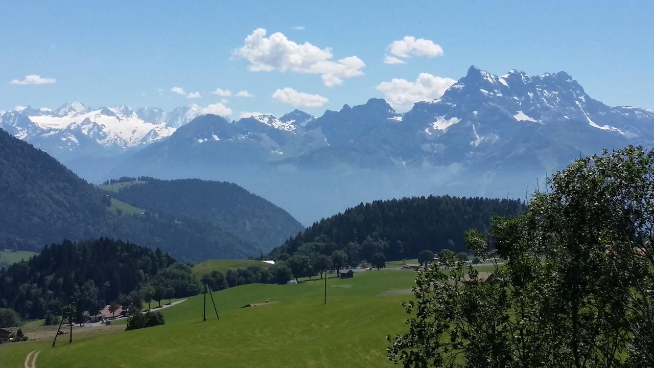 Winterfell Villa Leysin Luaran gambar