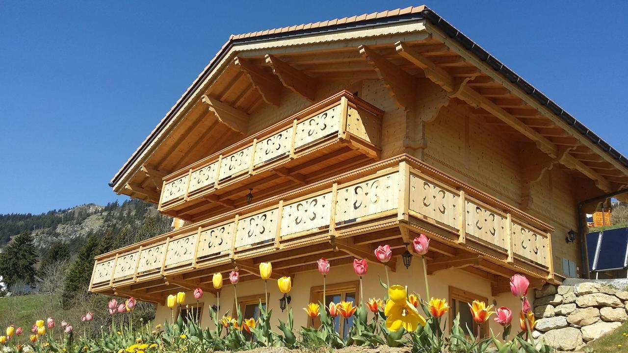 Winterfell Villa Leysin Luaran gambar