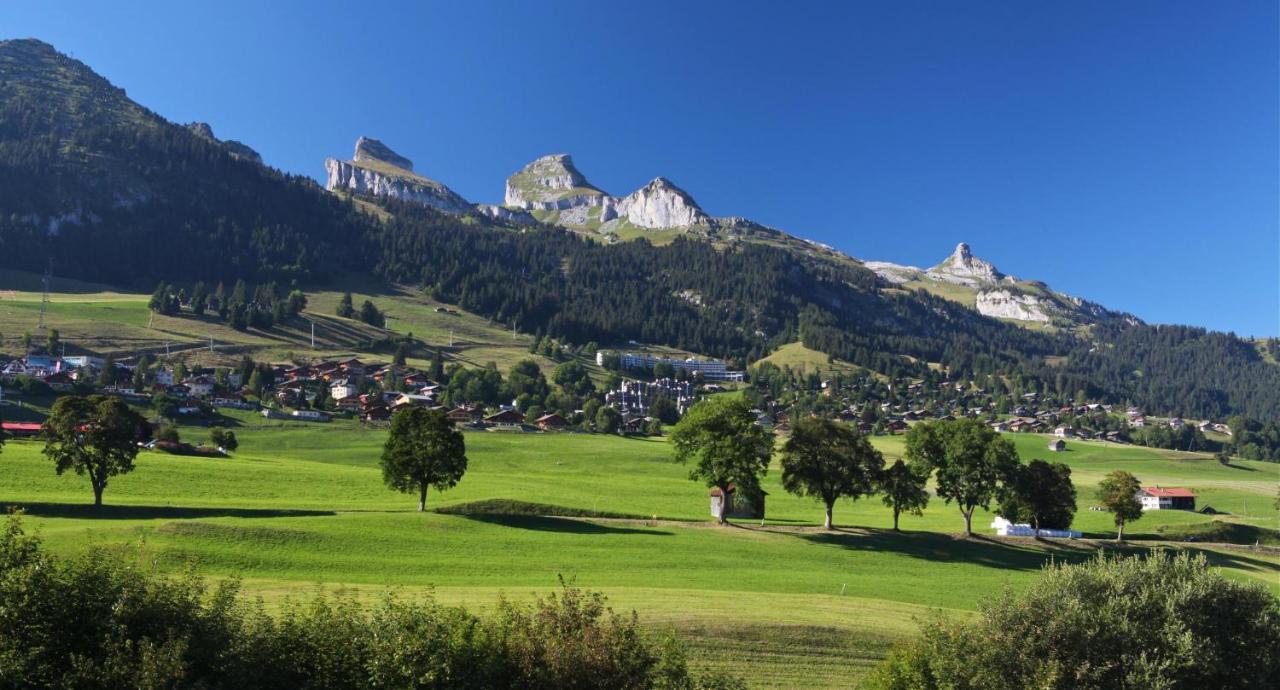 Winterfell Villa Leysin Luaran gambar
