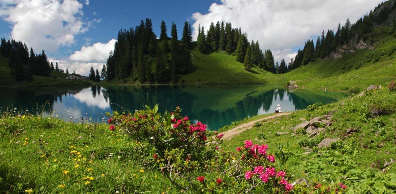 Winterfell Villa Leysin Luaran gambar