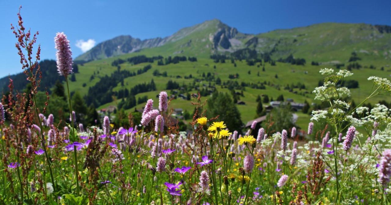 Winterfell Villa Leysin Luaran gambar